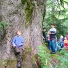 Familienwanderung Hacklberg